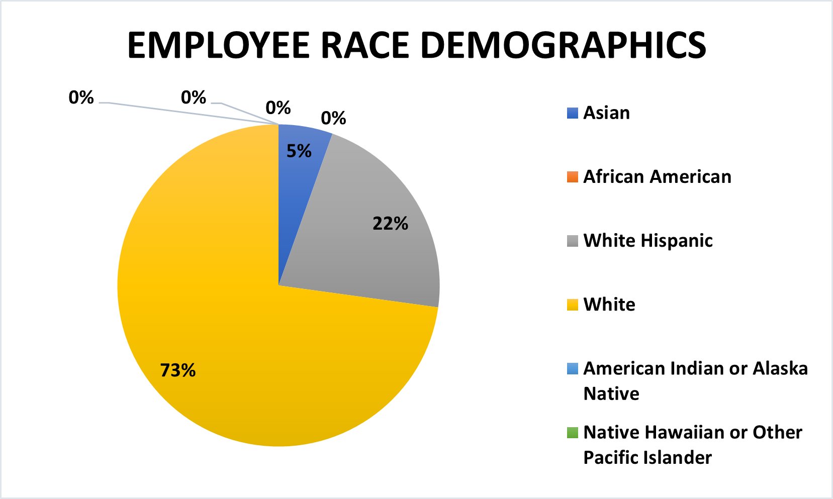 Employee Race Demographics